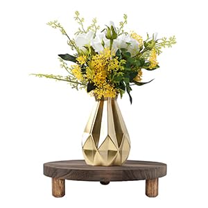 2 Pcs Wood Plant Stand Wooden Plant Stool Round Riser Display Stand Flower Pot Holder Low Plant Pot Flower Pedestal for Indoor Outdoor (Wood, 9.8 Inches)