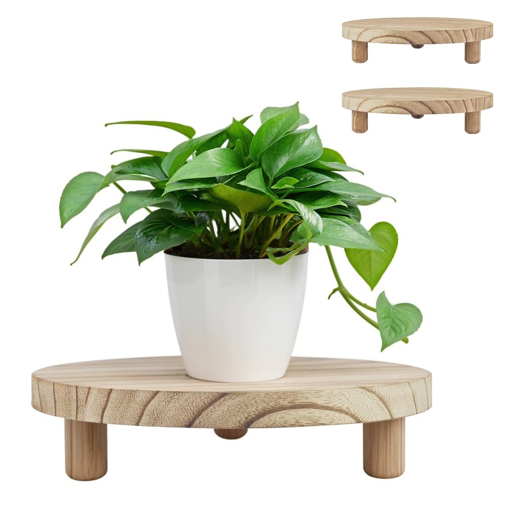 2 Pcs Wood Plant Stand Wooden Plant Stool Round Riser Display Stand Flower Pot Holder Low Plant Pot Flower Pedestal for Indoor Outdoor (Wood, 9.8 Inches)