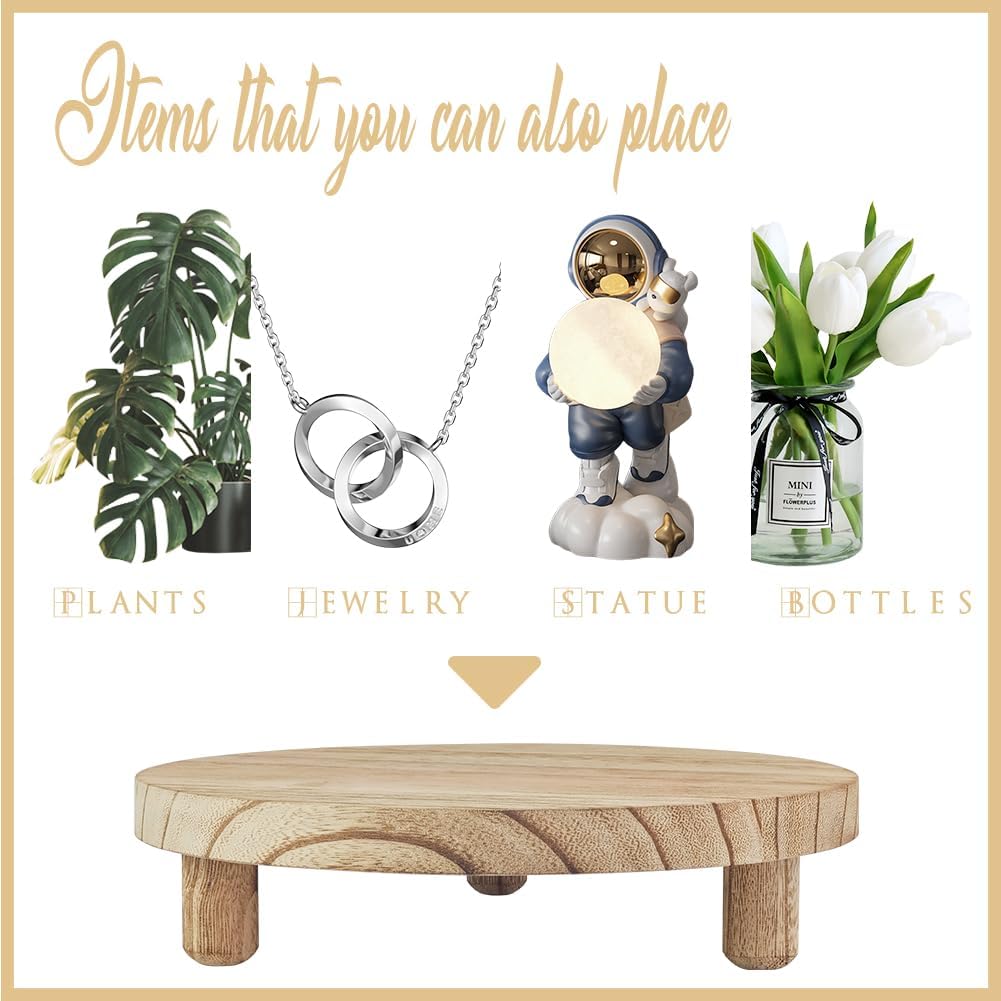 2 Pcs Wood Plant Stand Wooden Plant Stool Round Riser Display Stand Flower Pot Holder Low Plant Pot Flower Pedestal for Indoor Outdoor (Wood, 9.8 Inches)