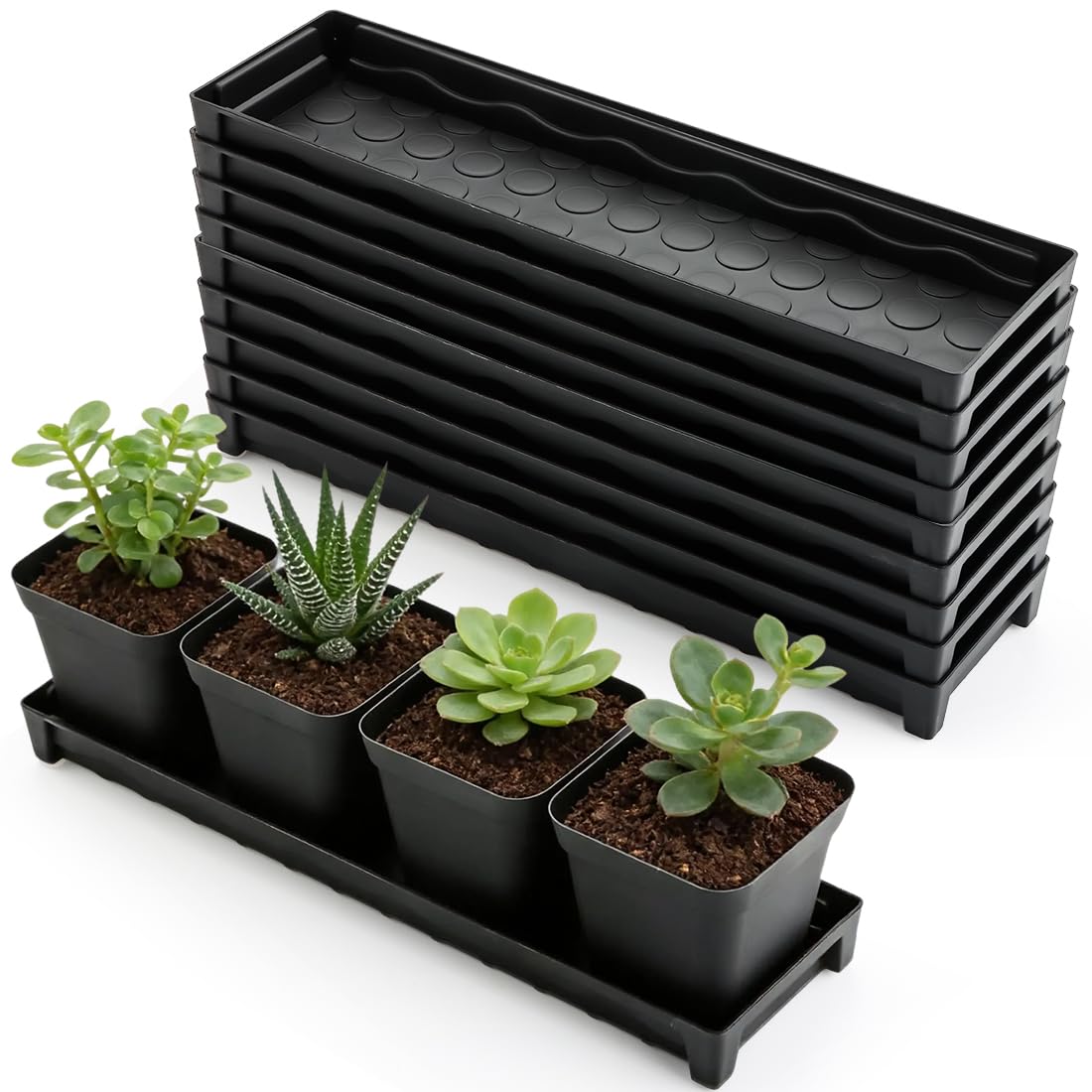 5 Pack Plastic Window Sill Saucer (16"x5.5"x1.5"), Rectangular Windowsill Plant Pot Trays with Removable Drainage Hole, Thick Plant Saucer Tray for 4 inch (10CM) Flower Seedling Pots (Black)