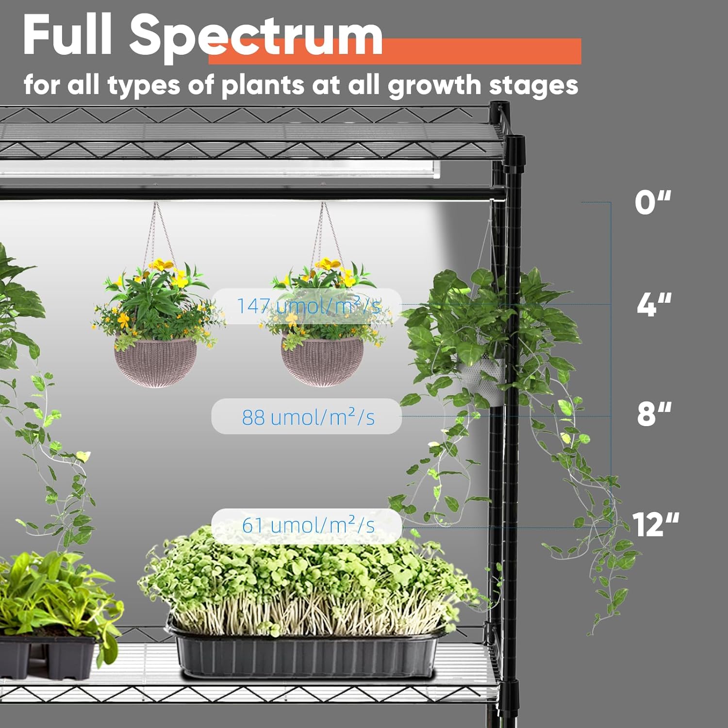 Plant Shelf with Grow Light, 4-Tier Metal Grow Light Shelf with Hanging Rod and Adjustable Rack,3-Pack 6000K T12 LED Full Spectrum Grow Lights for Seed Starting, Succulents, Built-in Timer