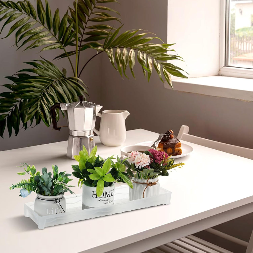 FMOACEN 6 PCS Plastic Plant Tray Saucer, Rectangular Window Sill Plant Tray for Indoors Outdoor Flower Pots for Window Shelf, Clear Thick Plastic Plant Trays for Succulent Pot, Square Plant Saucers