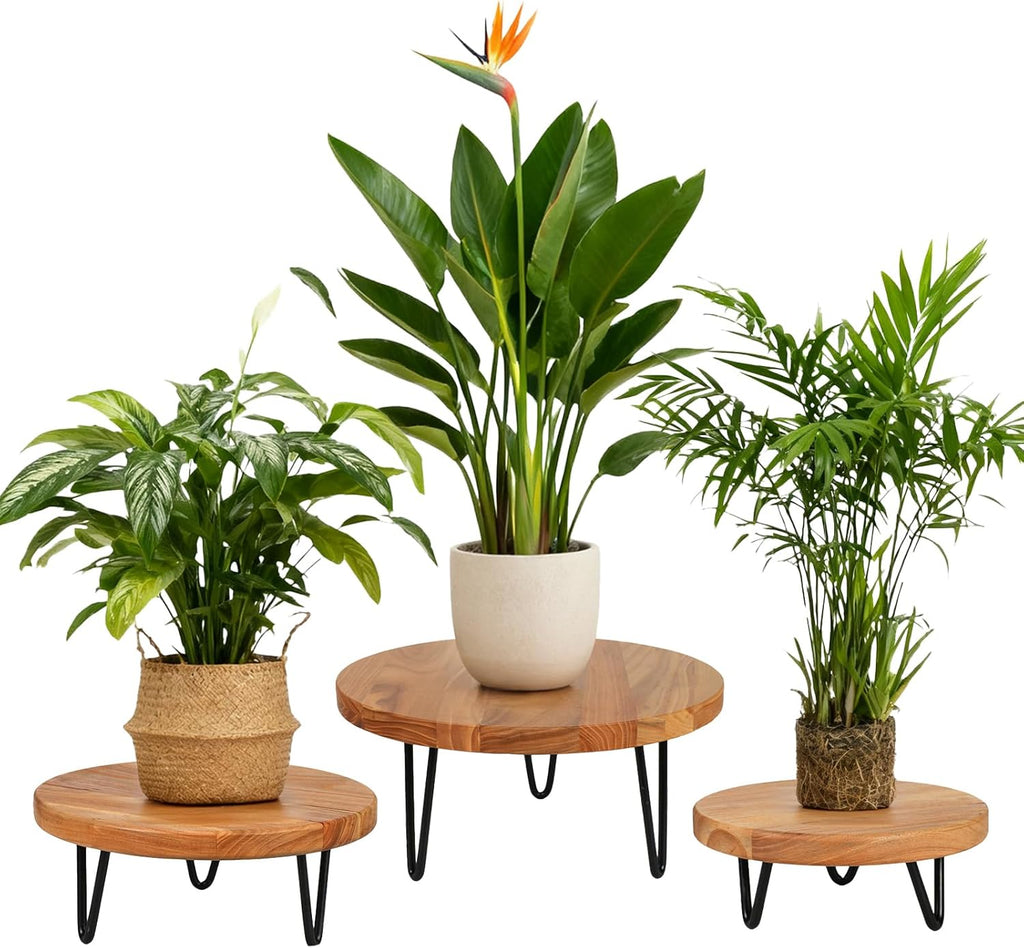Wood Plant Stand, Wooden Round Plant Stand for Indoor Plants, Modern Plant Holder for Succulent Plant Nursery Pot Flower Pot (S+M+L)