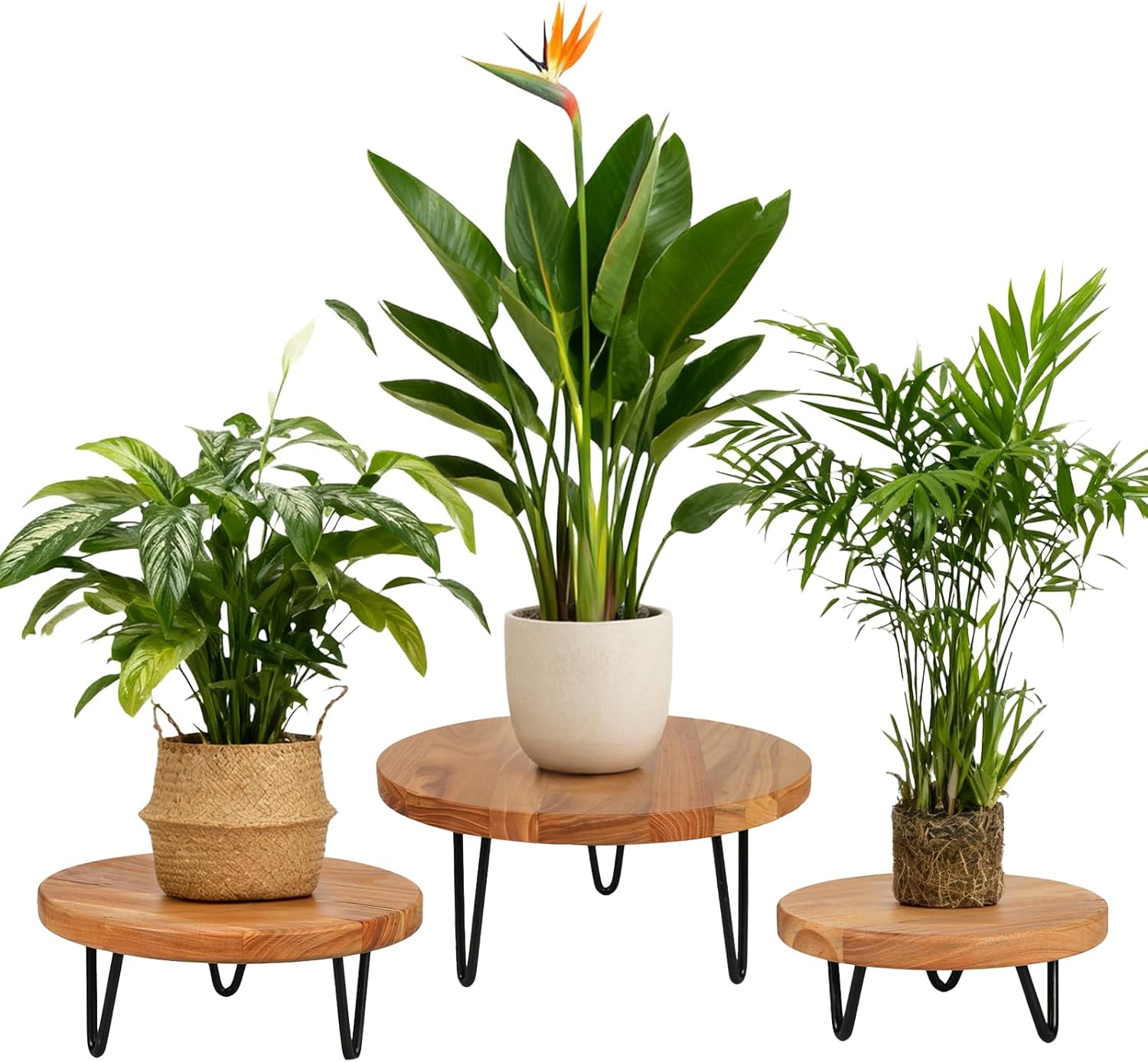 Wood Plant Stand, Wooden Round Plant Stand for Indoor Plants, Modern Plant Holder for Succulent Plant Nursery Pot Flower Pot (S+M+L)