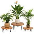 Wood Plant Stand, Wooden Round Plant Stand for Indoor Plants, Modern Plant Holder for Succulent Plant Nursery Pot Flower Pot (S+M+L)