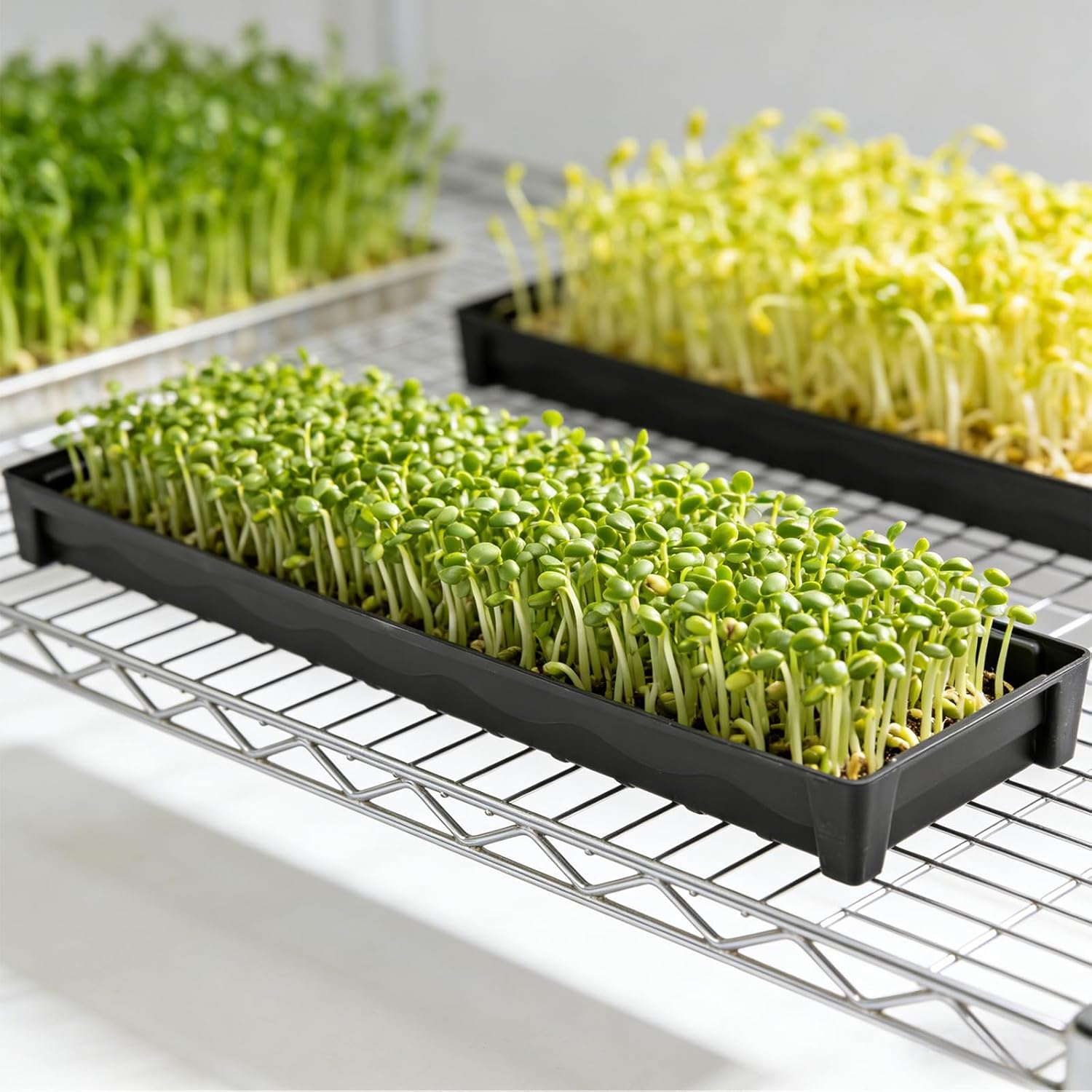 5 Pack Plant Saucer Growing Tray, Rectangular Windowsill Plant Pot Trays with Removable Drainage Hole, Seed Starter Tray Plastic Plant Drainage Saucers for 4 inch Flower Seedling Pots (16"x4.5"x1.5")