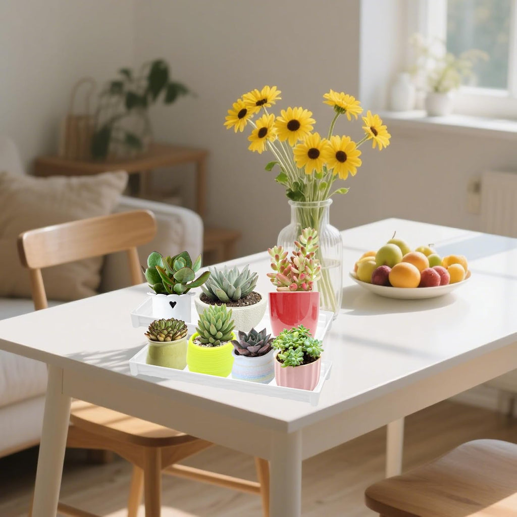 6 PCS Plastic Plant Tray Saucer, Rectangular Window Sill Plant Tray for Indoors Outdoor Flower Pots for Window Shelf, Clear Thick Plastic Plant Trays for Succulent Pot Planter, Square Plant Saucers