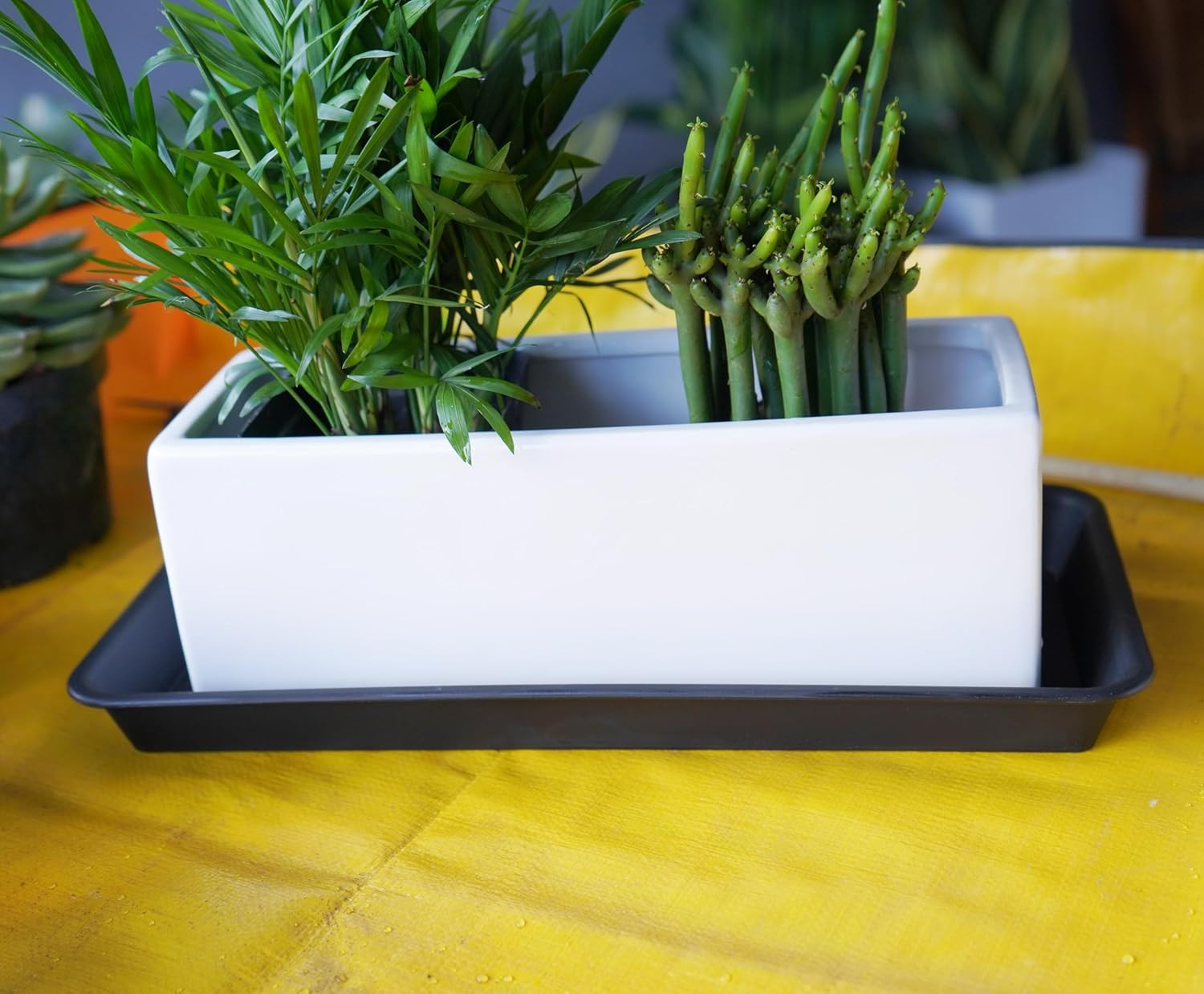 VUWEZ 6 Pack Plastic Plant Tray Saucer Rectangular, Heavy Duty Planter Saucers for Indoors, Plant Water Drip Trays for Flower Pot Planter, Windowsill Pot Tray, Seed Starting Growing Trays